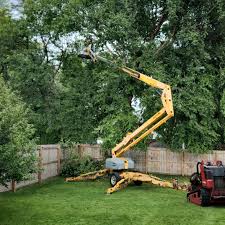 Best Tree Health Inspection  in Summit View, WA